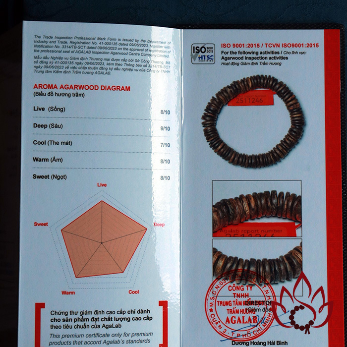 Vòng Trầm Hương Hạt Dẹp | 10 Ly | Trầm Bì Rễ Tự Nhiên | Vip